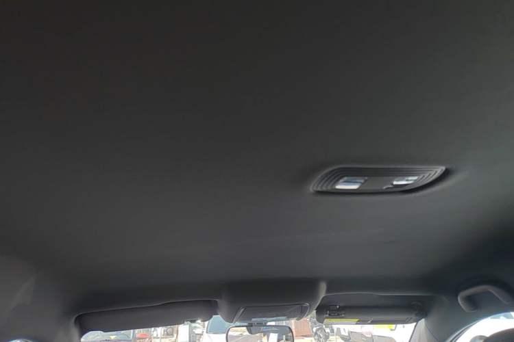 Used BYD Qin PLUS  Headliner