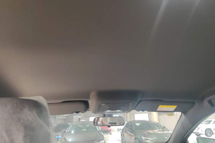 Used BYD Qin PLUS  Headliner