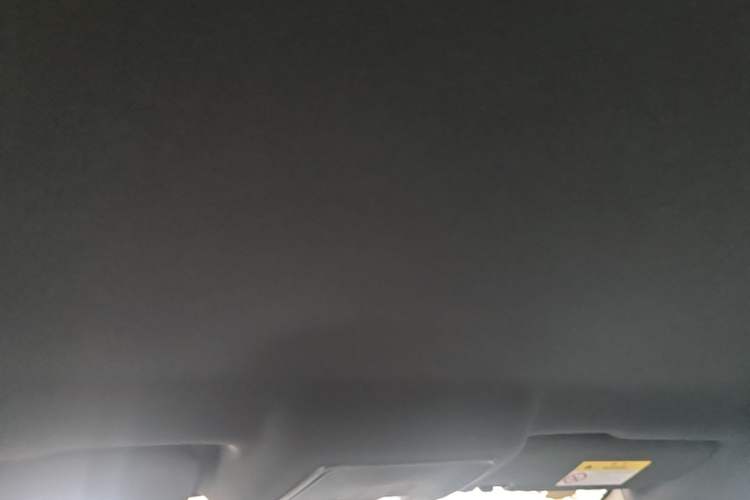 Used BYD Qin PLUS  Headliner
