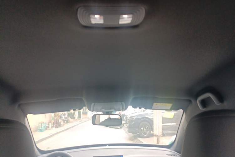 Used BYD Qin PLUS  Headliner