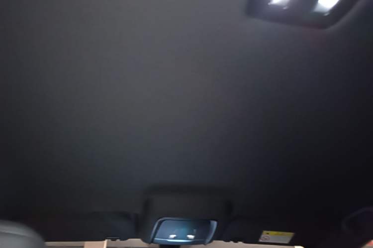 Used BYD Qin PLUS  Headliner