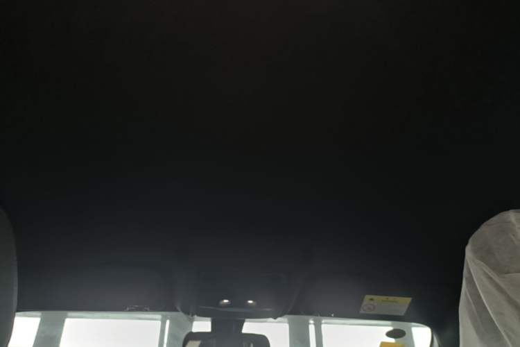 Used BYD Qin PLUS  Headliner
