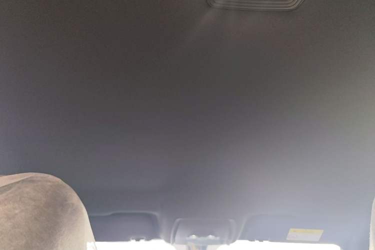 Used BYD Qin PLUS  Headliner