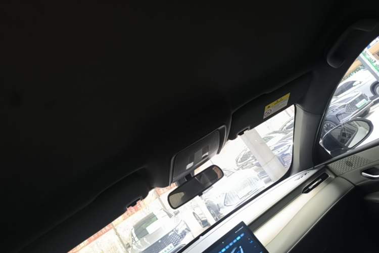 Used BYD Qin PLUS  Headliner