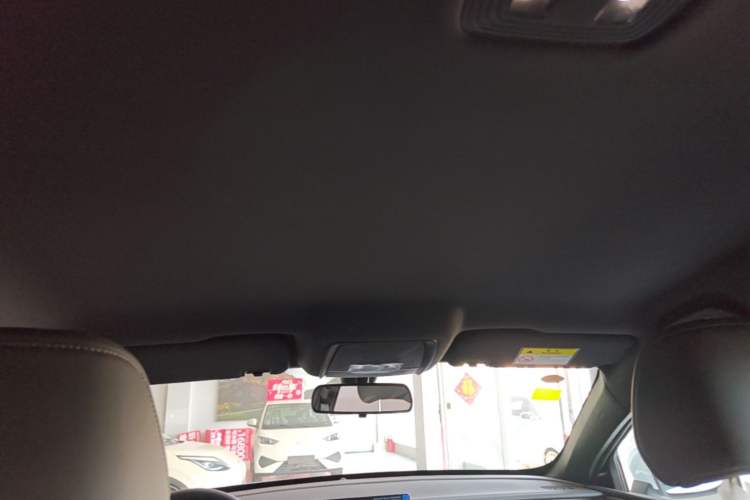 Used BYD Qin PLUS  Headliner