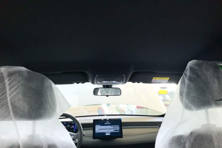 Used BYD Qin PLUS  Headliner
