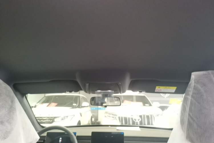Used BYD Qin PLUS  Headliner
