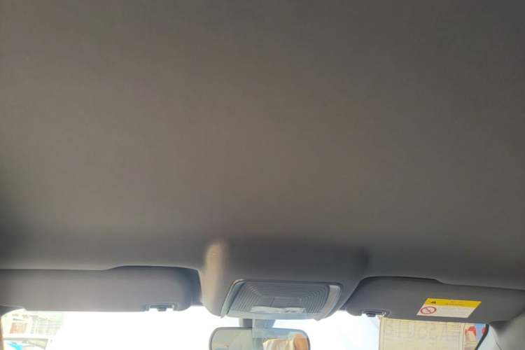 Used BYD Qin PLUS  Headliner