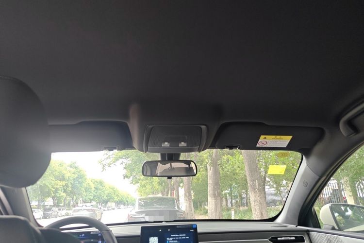 Used BYD Qin PLUS  Headliner