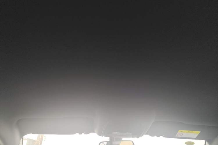 Used BYD Qin PLUS  Headliner