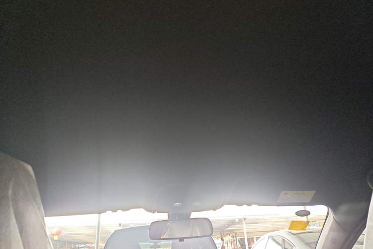 Used BYD Qin PLUS  Headliner