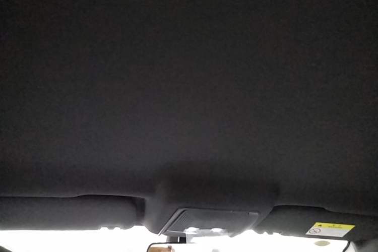 Used BYD Qin PLUS  Headliner