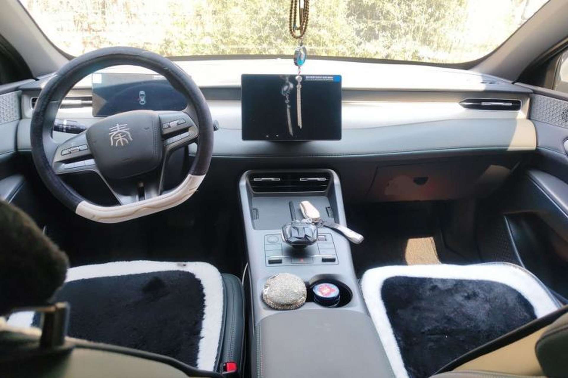 Used BYD Qin PLUS 2025 DM-i Smart Drive 55KM Leading Model Interior 2