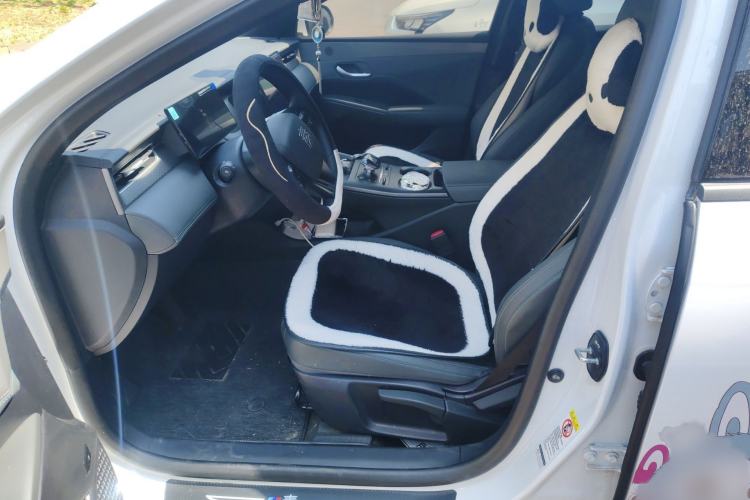 Used BYD Qin PLUS 2025 DM-i Smart Drive 55KM Leading Model Left Front Seat