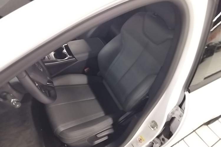 Used BYD Qin PLUS 2025 DM-i Smart Drive 55KM Leading Model Left Front Seat