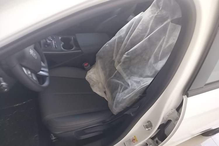 Used BYD Qin PLUS 2025 DM-i Smart Drive 55KM Leading Model Left Front Seat