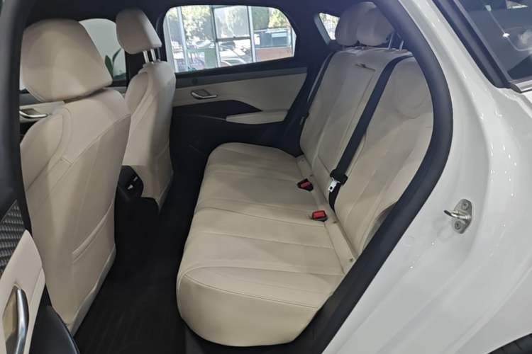Used BYD Qin PLUS 2025 EV Smart Drive Edition 510KM Leading Model Left Rear Seat