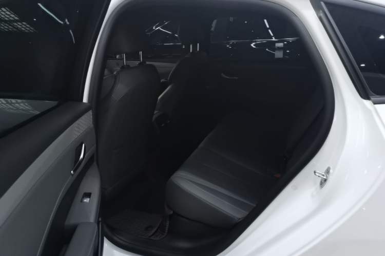 Used BYD Qin PLUS 2025 DM-i Smart Drive 55KM Leading Model Left Rear Seat