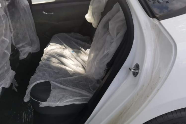 Used BYD Qin PLUS  Left Rear Seat