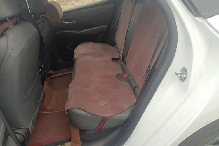 Used BYD Qin PLUS 2025 DM-i Smart Drive 55KM Leading Model Left Rear Seat