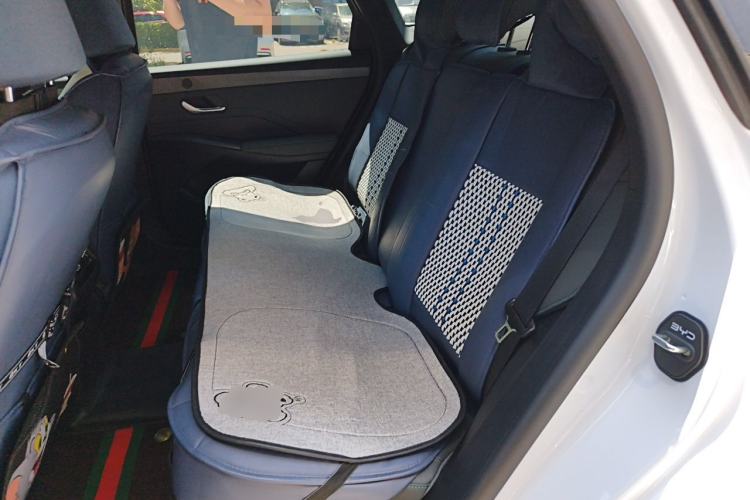 Used BYD Qin PLUS 2025 DM-i Smart Drive 55KM Leading Model Left Rear Seat