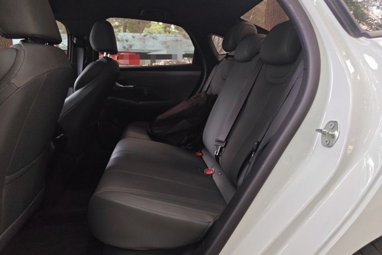 Used BYD Qin PLUS 2025 DM-i Smart Drive 55KM Leading Model Left Rear Seat