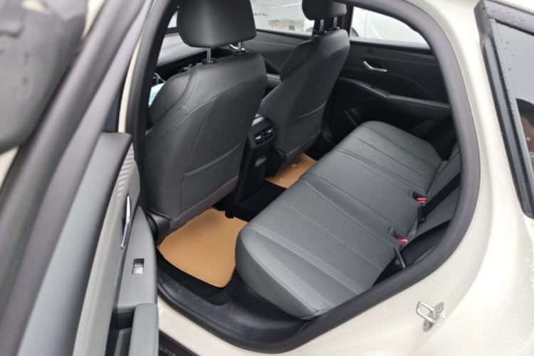 Used BYD Qin PLUS  Left Rear Seat