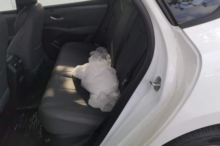Used BYD Qin PLUS  Left Rear Seat
