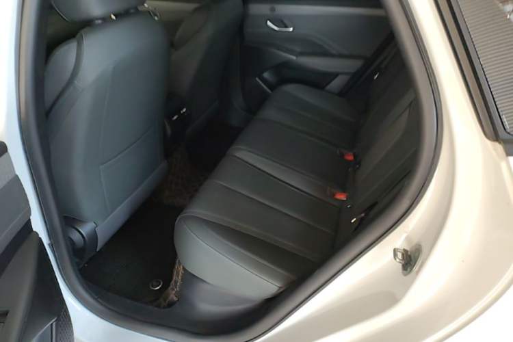Used BYD Qin PLUS 2025 DM-i Smart Drive 55KM Leading Model Left Rear Seat