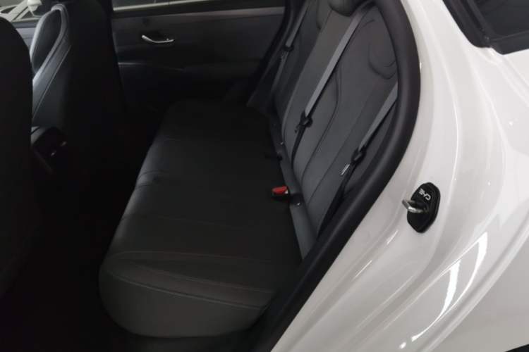 Used BYD Qin PLUS 2025 DM-i Smart Drive 55KM Leading Model Left Rear Seat