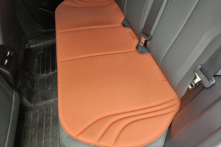 Used BYD Qin PLUS 2025 DM-i Smart Drive 55KM Leading Model Left Rear Seat