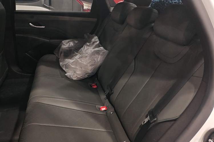 Used BYD Qin PLUS 2025 DM-i Smart Drive 55KM Leading Model Left Rear Seat