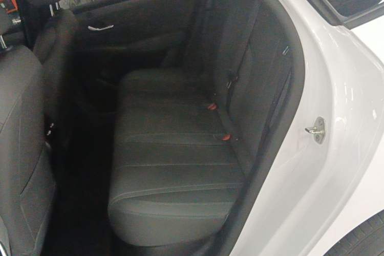Used BYD Qin PLUS 2025 DM-i Smart Drive 55KM Leading Model Left Rear Seat