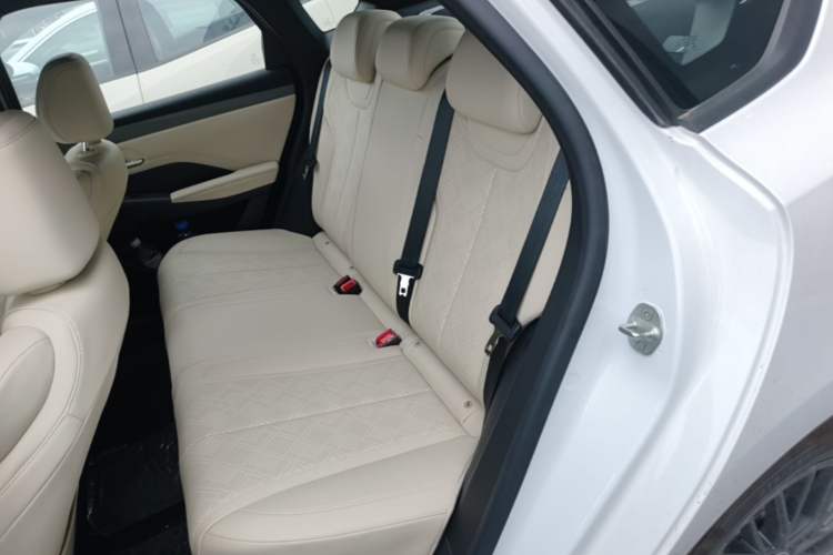 Used BYD Qin PLUS 2025 EV Smart Drive Edition 420KM Leading Model Left Rear Seat