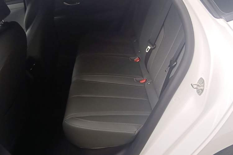 Used BYD Qin PLUS 2025 DM-i Smart Drive 55KM Leading Model Left Rear Seat