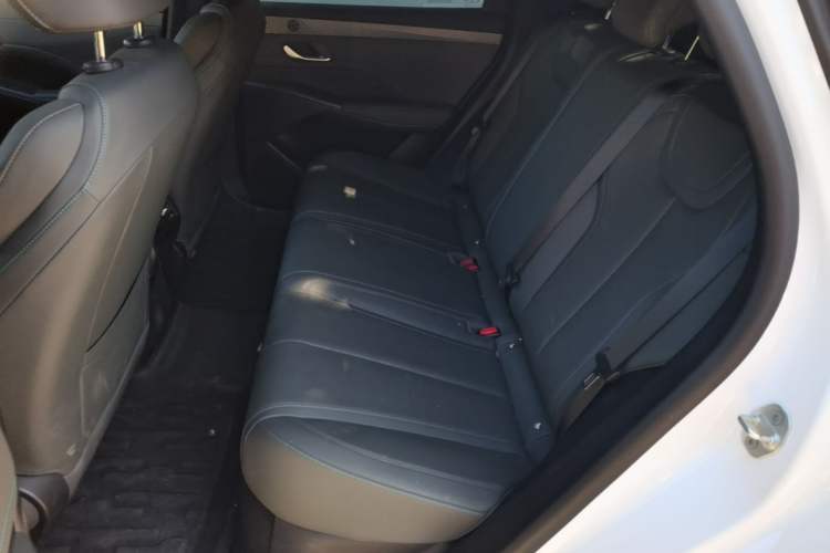 Used BYD Qin PLUS 2025 DM-i Smart Drive 55KM Leading Model Left Rear Seat