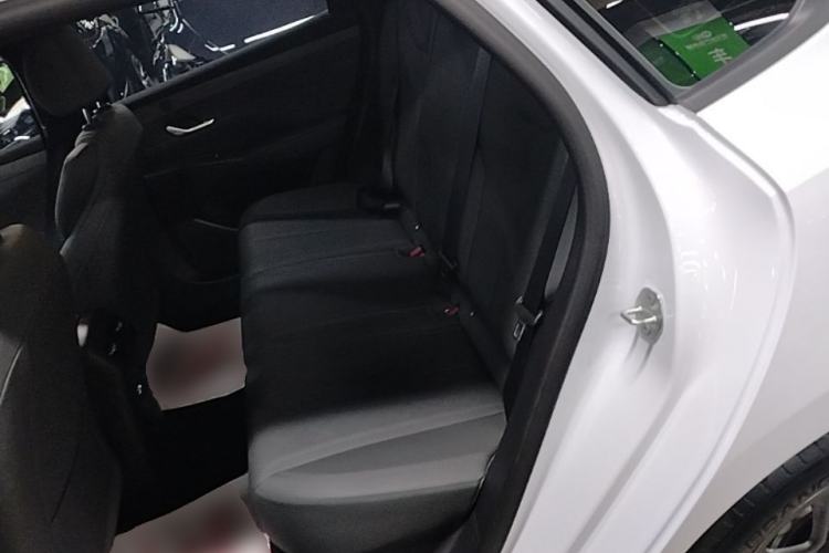 Used BYD Qin PLUS  Left Rear Seat