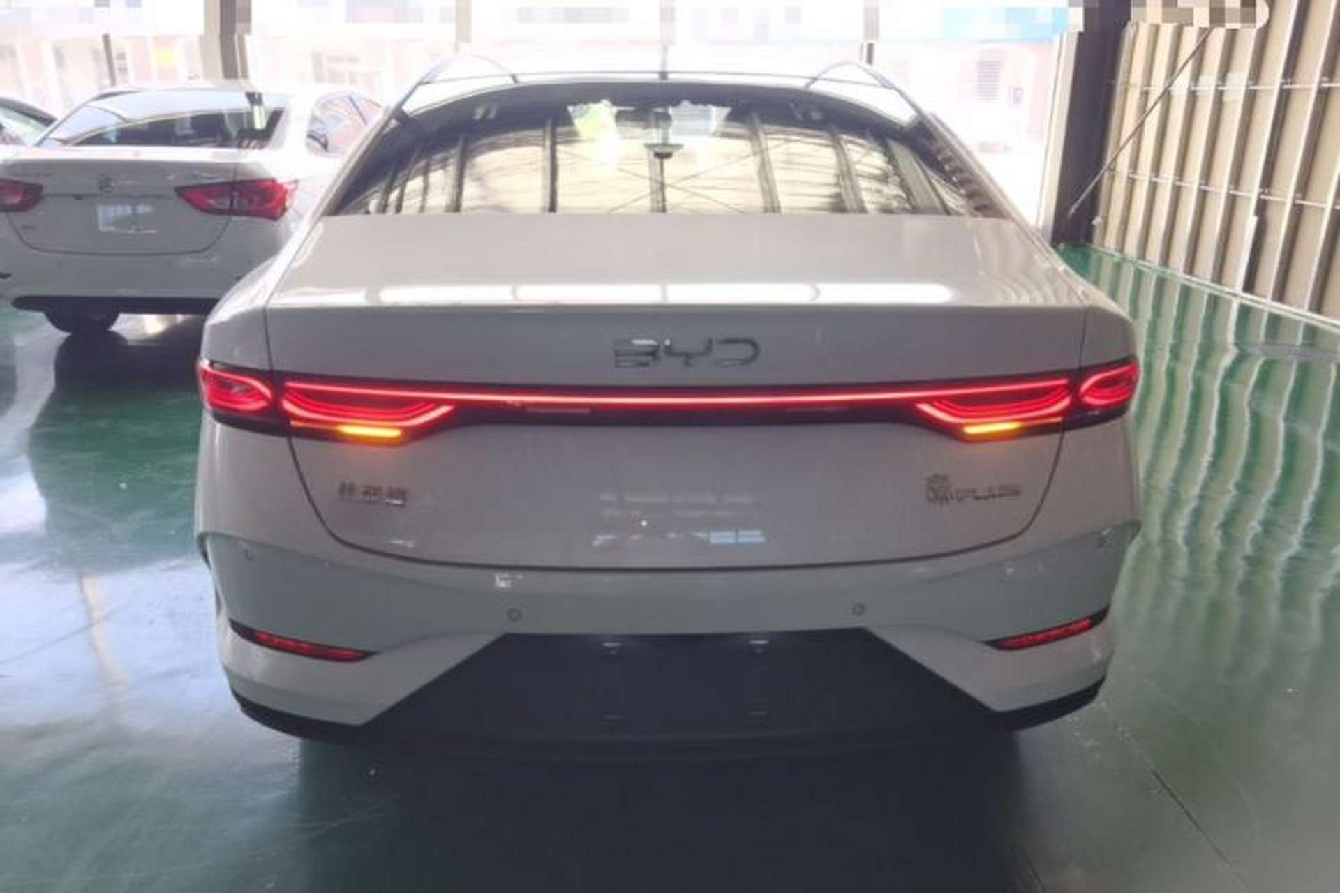 Used BYD Qin PLUS  Rear