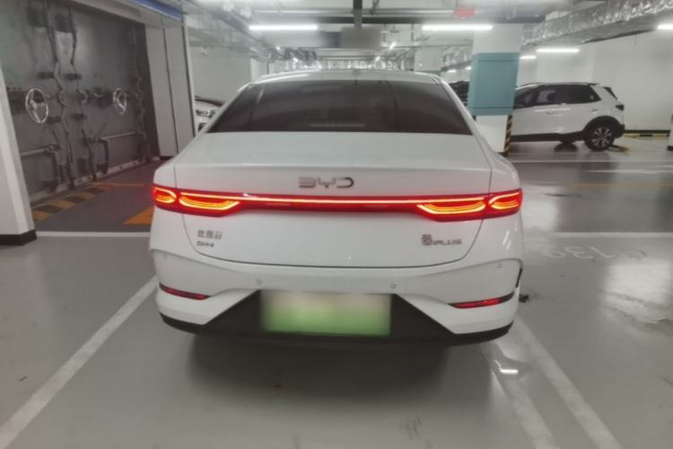 Used BYD Qin PLUS 2025 DM-i Smart Drive 55KM Leading Model Rear