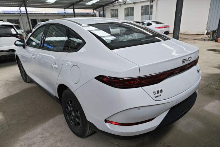 Used BYD Qin PLUS  Rear Left 45 Deg