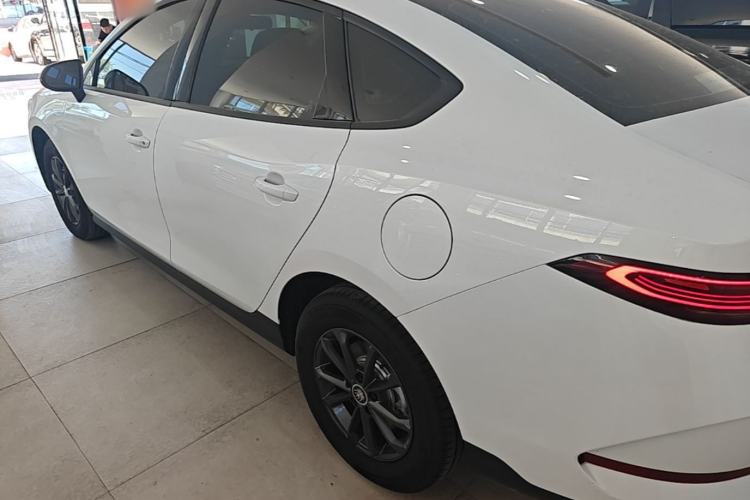 Used BYD Qin PLUS  Rear Left 45 Deg