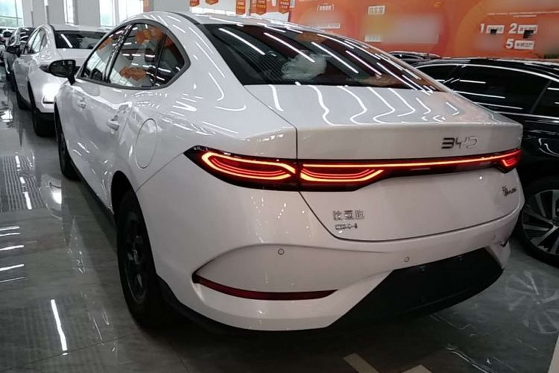 Used BYD Qin PLUS  Rear Left 45 Deg