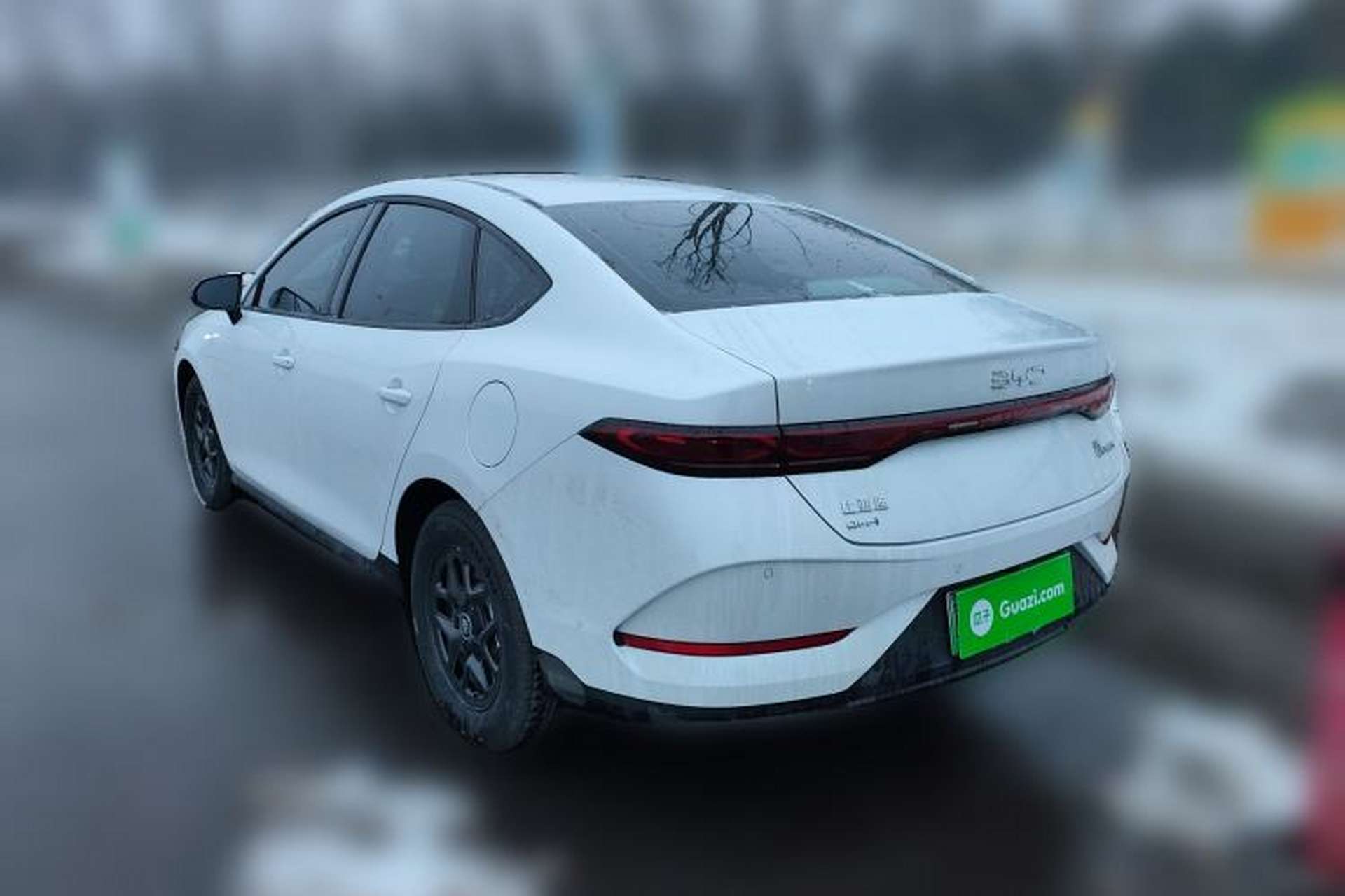 Used BYD Qin PLUS 2025 DM-i Smart Drive 55KM Leading Model Rear Left 45 Deg