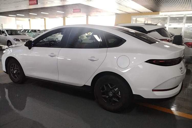 Used BYD Qin PLUS 2025 DM-i Smart Drive 55KM Leading Model Rear Left 45 Deg