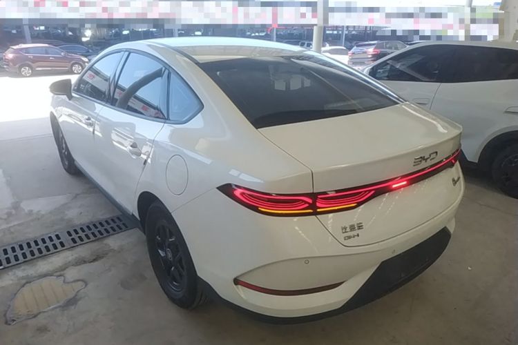 Used BYD Qin PLUS 2025 DM-i Smart Drive 55KM Leading Model Rear Left 45 Deg