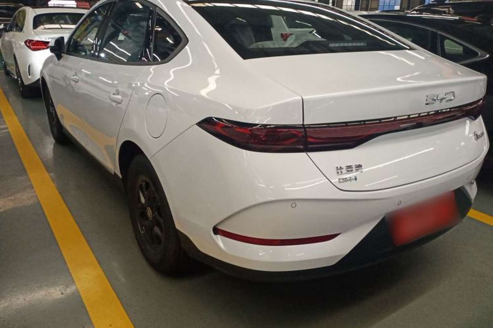 Used BYD Qin PLUS 2025 DM-i Smart Drive 55KM Leading Model Rear Left 45 Deg