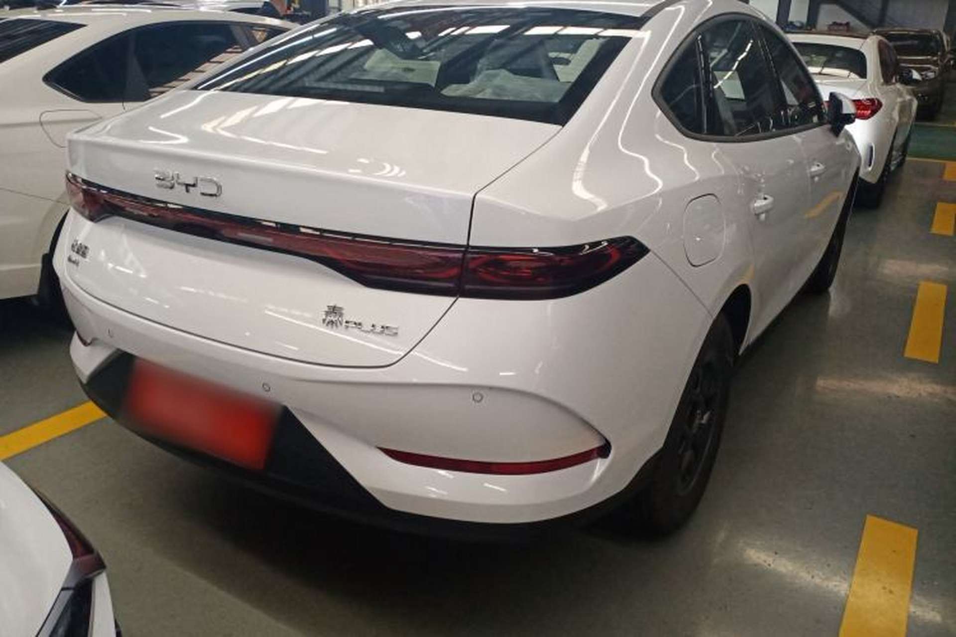 Used BYD Qin PLUS 2025 DM-i Smart Drive 55KM Leading Model Rear Right 45 Deg