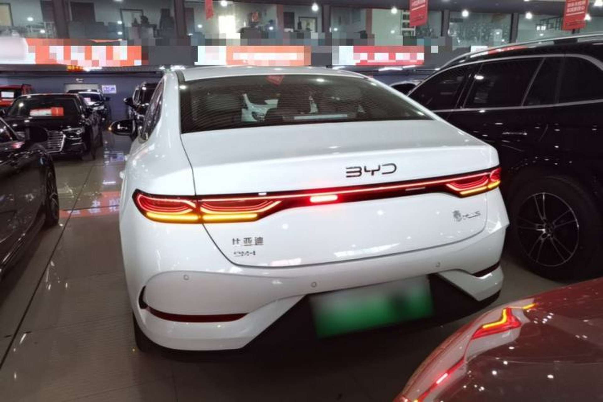 Used BYD Qin PLUS 2025 DM-i Smart Drive 55KM Leading Model Rear