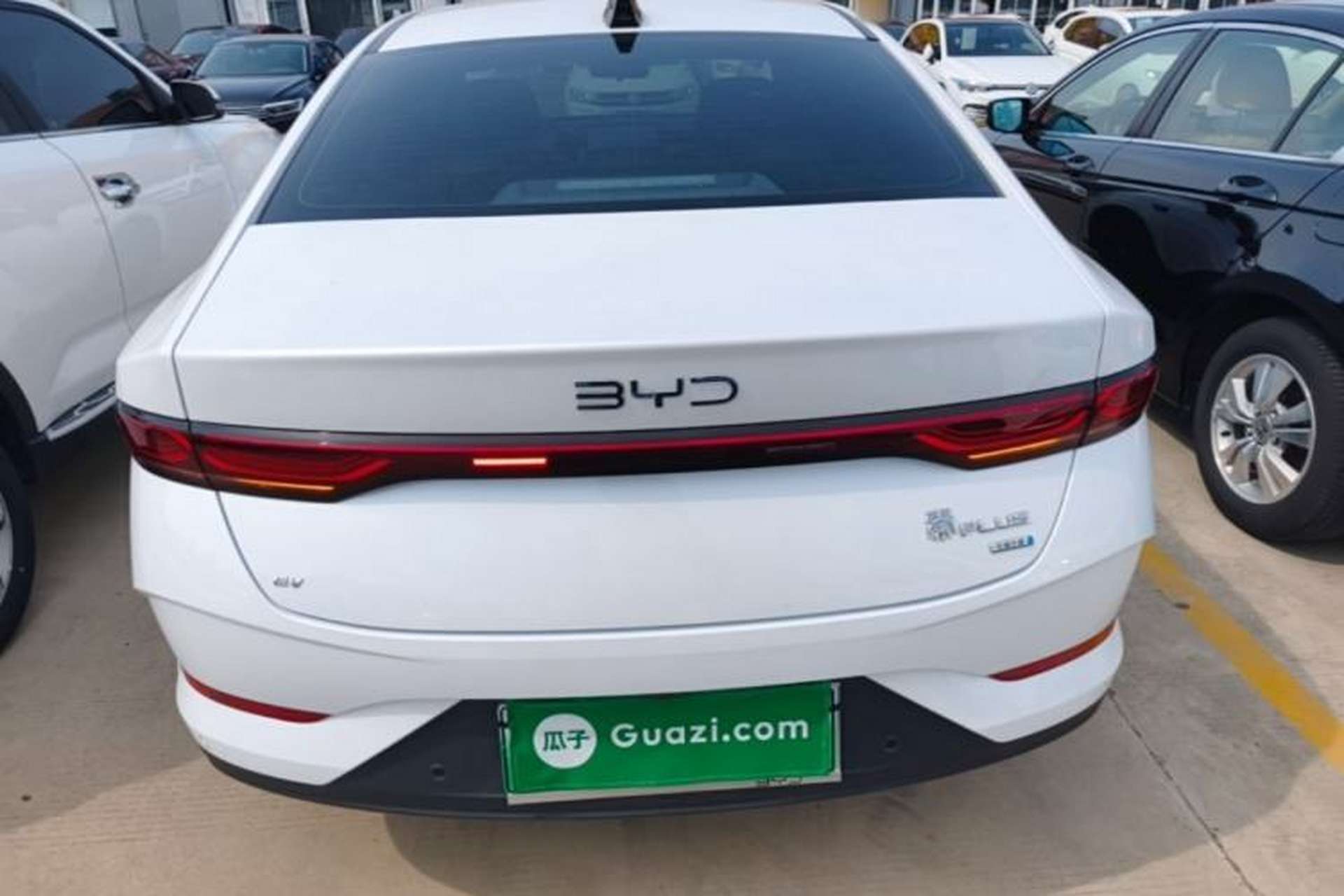 Used BYD Qin PLUS 2025 EV Smart Drive Edition 510KM Leading Model Rear