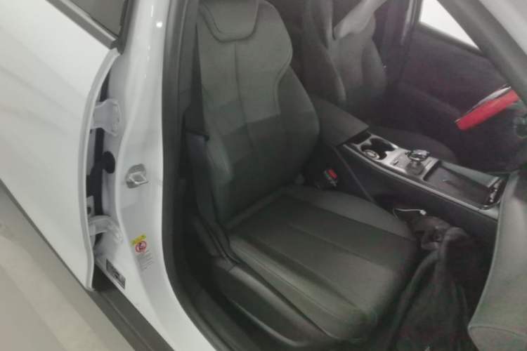 Used BYD Qin PLUS 2025 DM-i Smart Drive 55KM Leading Model Right Front Seat